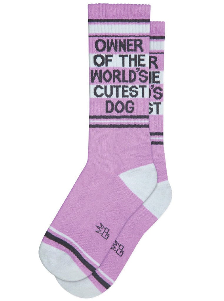 gumball-poodle-cutest_dog_socks