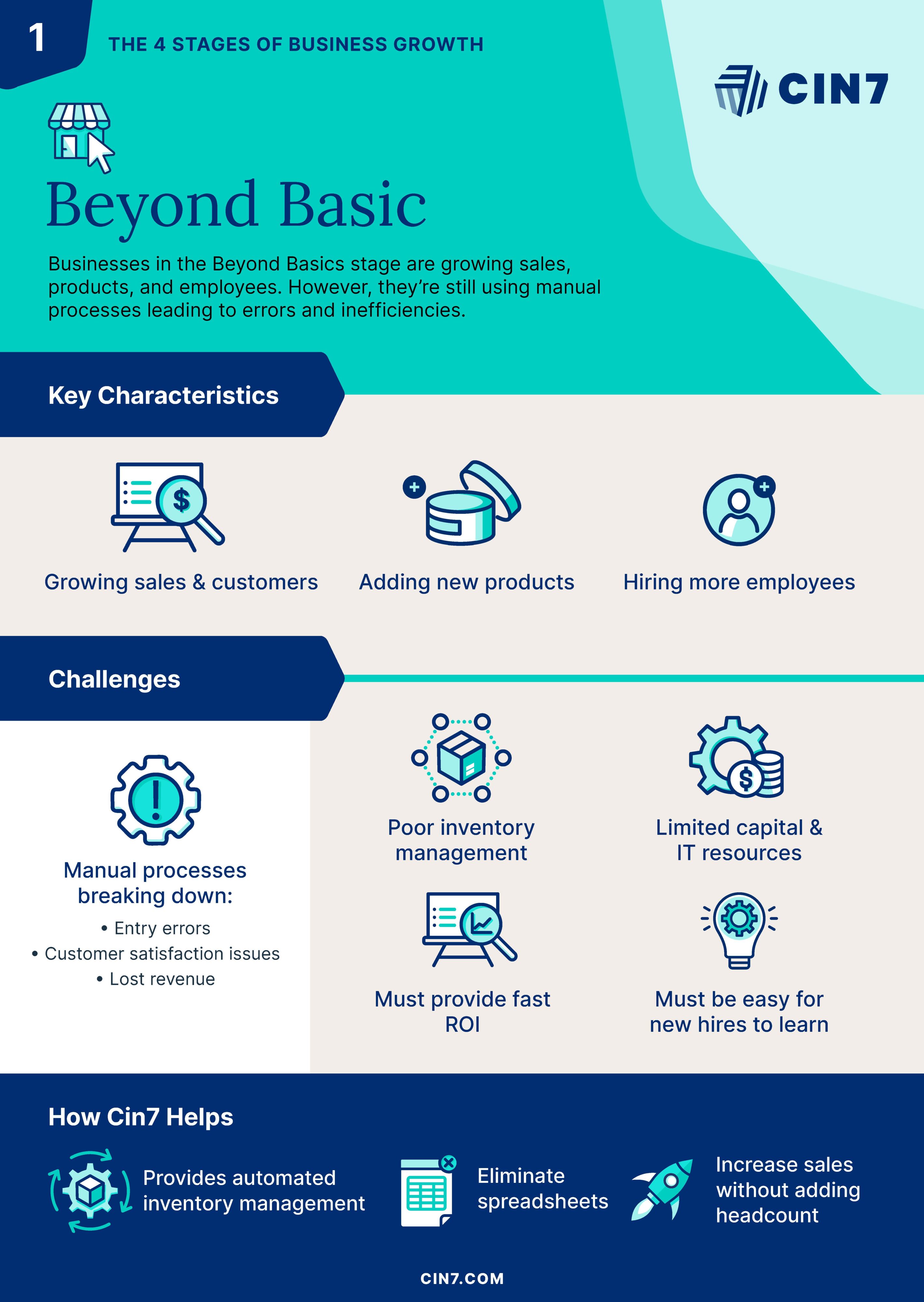 infographic of the beyond basics stage of business growth