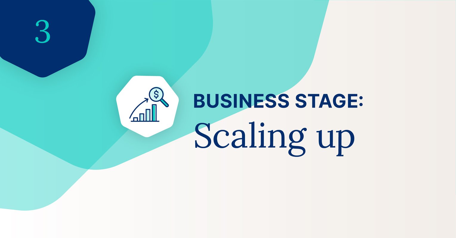 Scaling Up: Challenges and priorities of the 3rd business growth stage ...