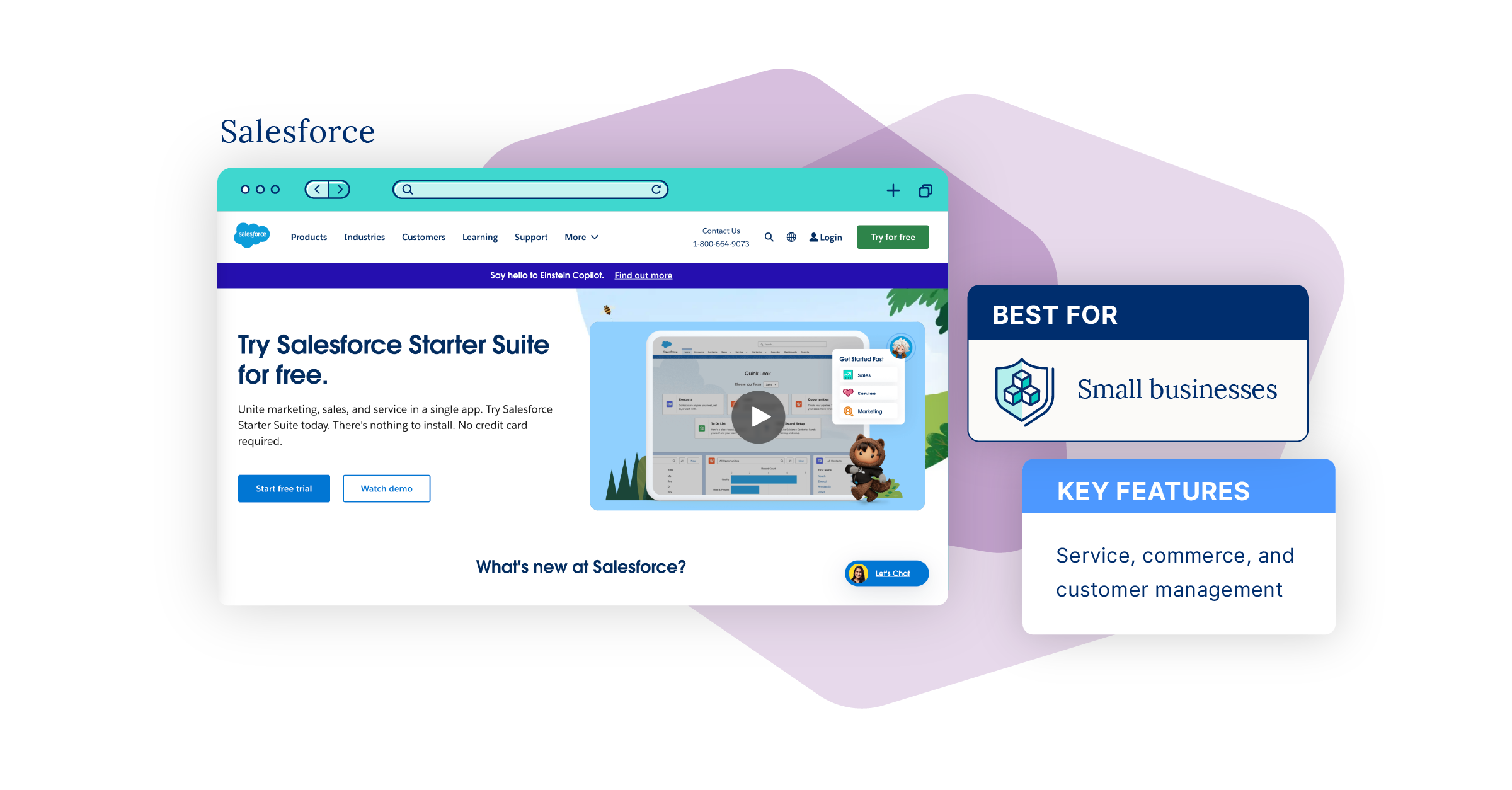 Image of salesforce homepage